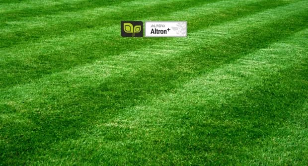 Jak správně zazimovat trávník: 5 kroků k úspěšnému jarnímu startu