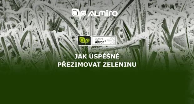 Jak úspěšně přezimovat zeleninu: kompletní průvodce pro zdravou úrodu i v zimě
